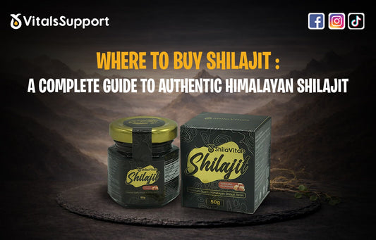 Where to Buy Shilajit: A Complete Guide to Authentic Himalayan Shilajit