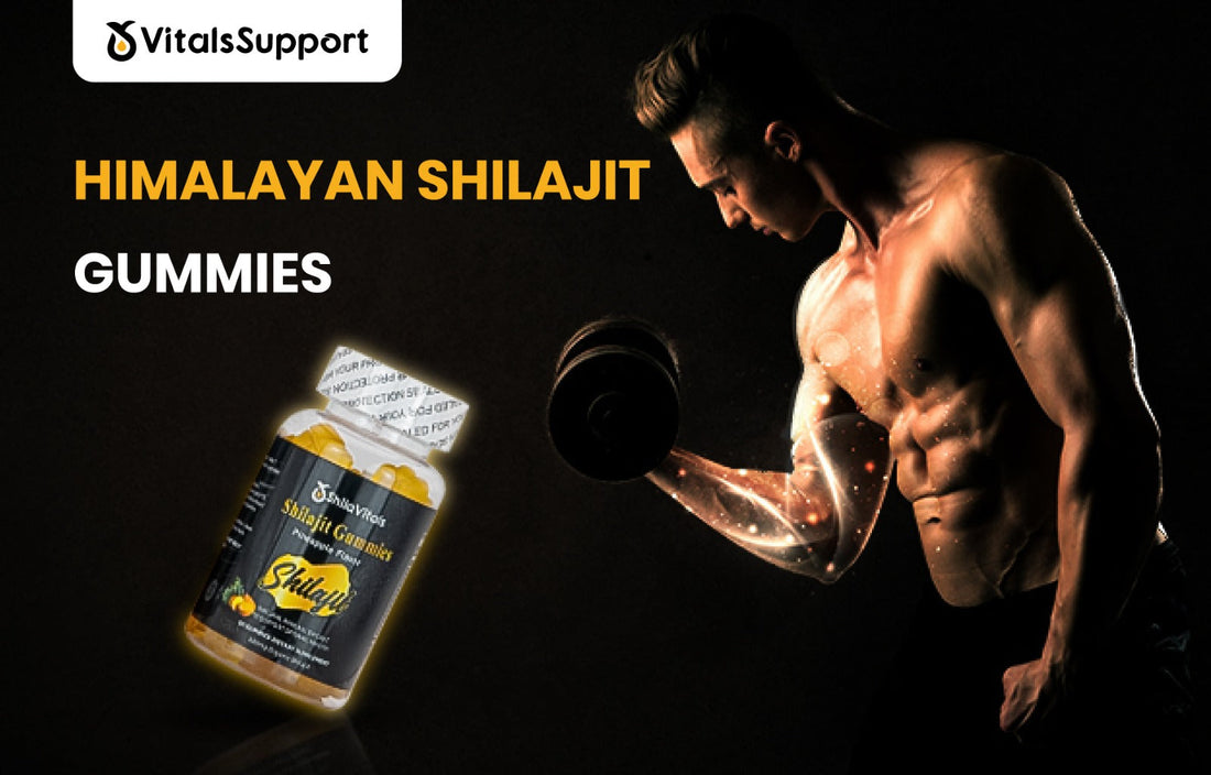 himalayan shilajit gummies by vitalssupport