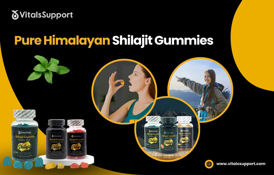 Experience the power of Pure Himalayan Shilajit Gummies a natural source of strength