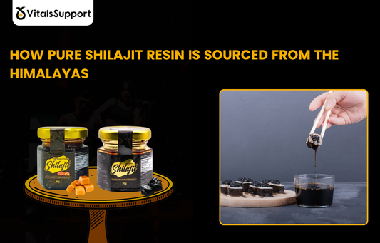 Pure Himalayan Shilajit resin being sourced from high-altitude mountain cliffs