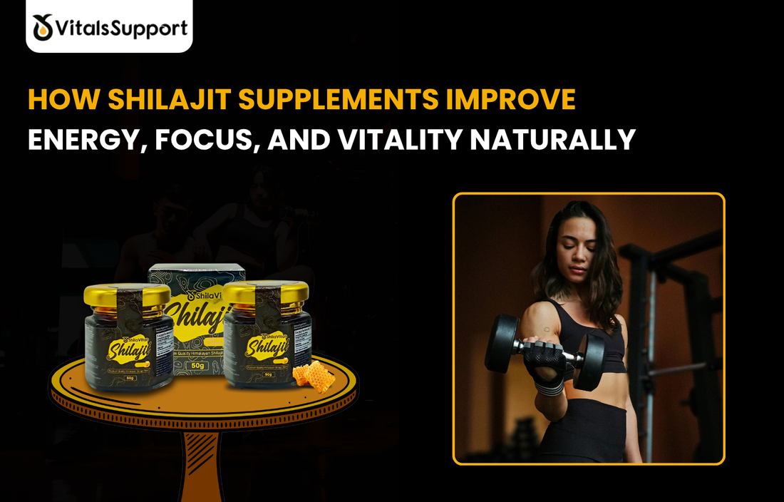 VitalsSupport Himalayan Shilajit capsules bottle"