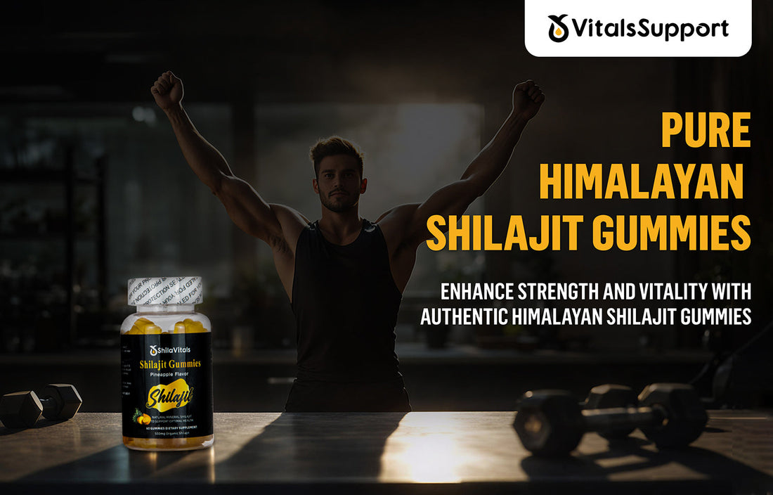 6 Powerful Benefits of Pure Himalayan Shilajit Gummies for Energy, Stamina and Wellness
