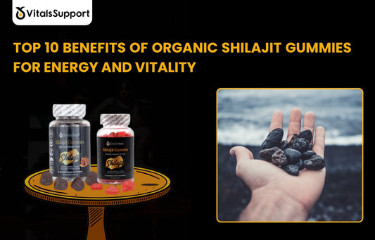 Organic Shilajit gummies bottle by VitalsSupport for natural energy and vitality boost in USA