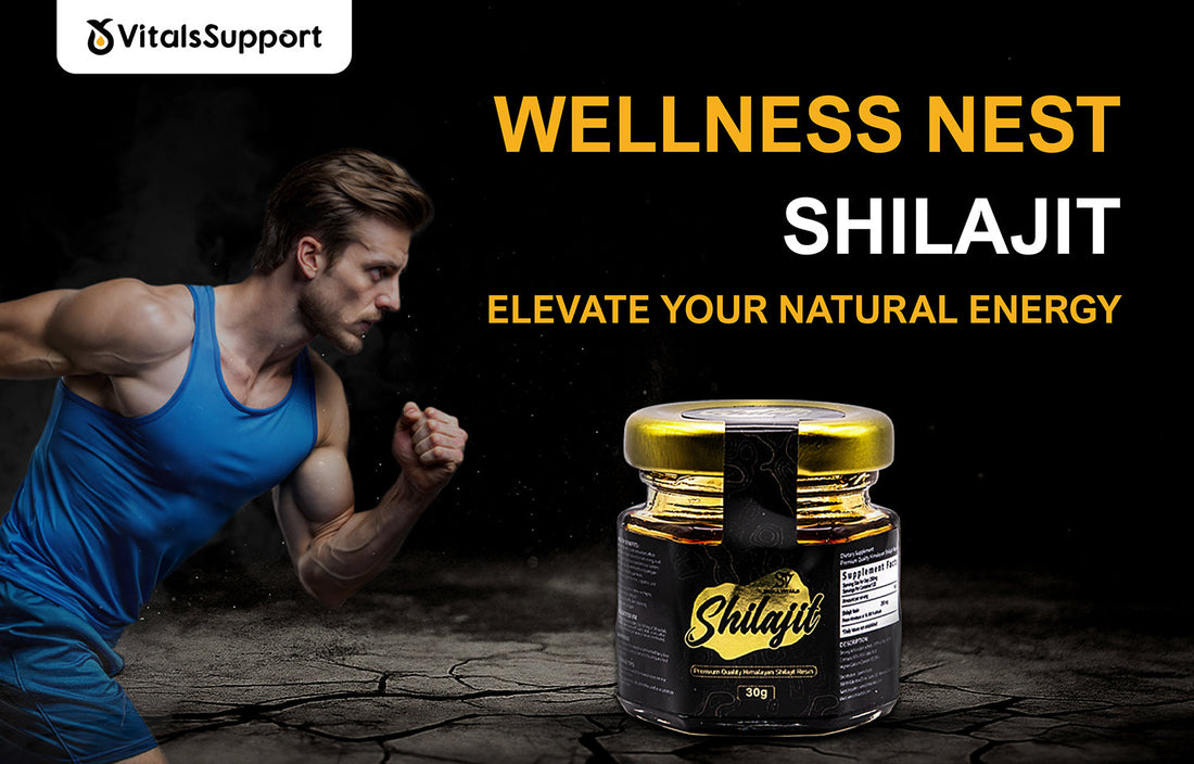 Wellness Nest Shilajit: A Natural Approach to the Daily Energy and the Balance