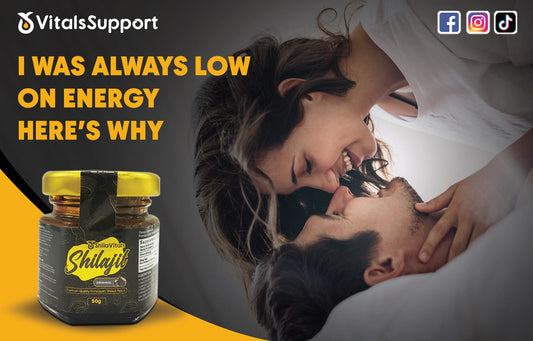 Best Shilajit Supplement (USA) 