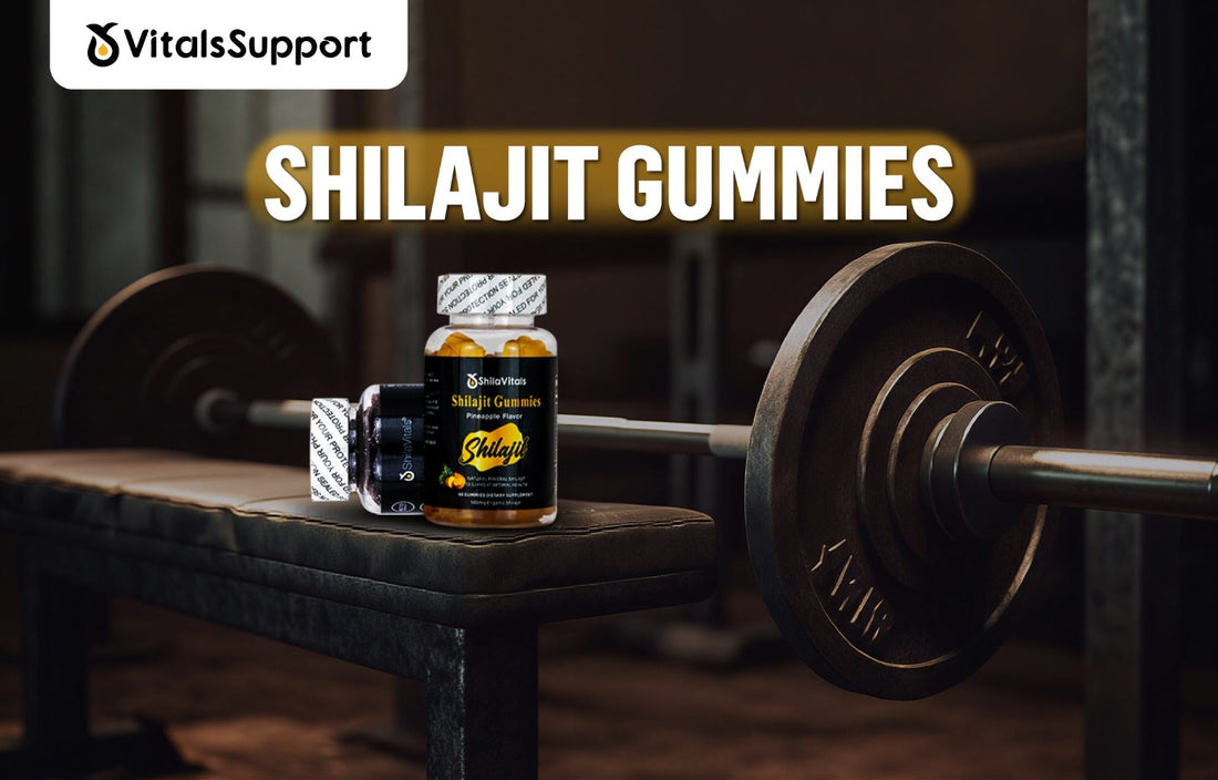 Shilajit Gummies: 6 Powerful Benefits to the Boost Energy Focus and the Daily Strength