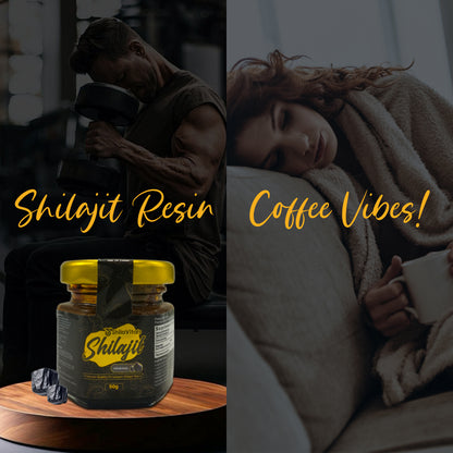 ShilaVitals Himalayan Shilajit Resin natural energy and wellness supplement